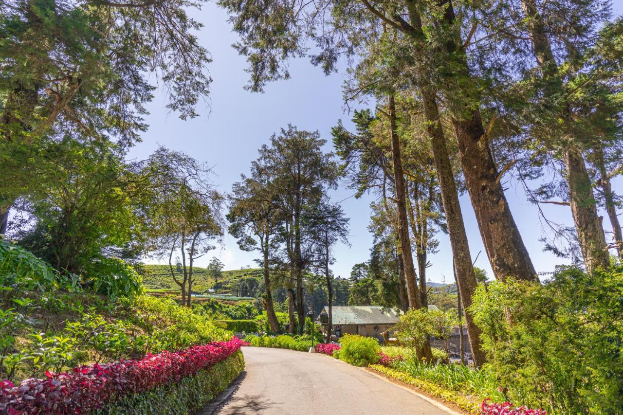 Mirage Kings Cottage Nuwara Eliya Eksteriør billede