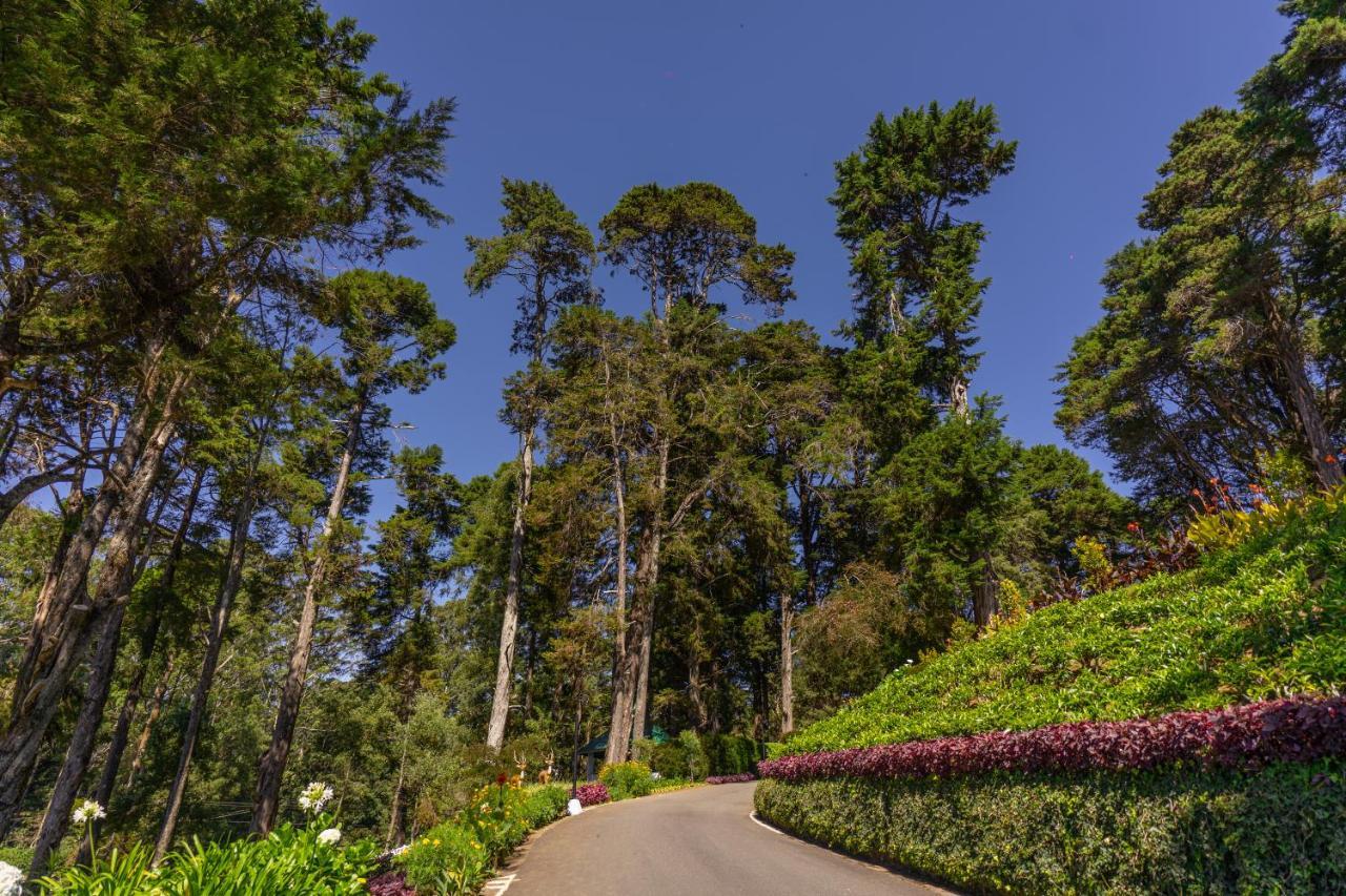 Mirage Kings Cottage Nuwara Eliya Eksteriør billede