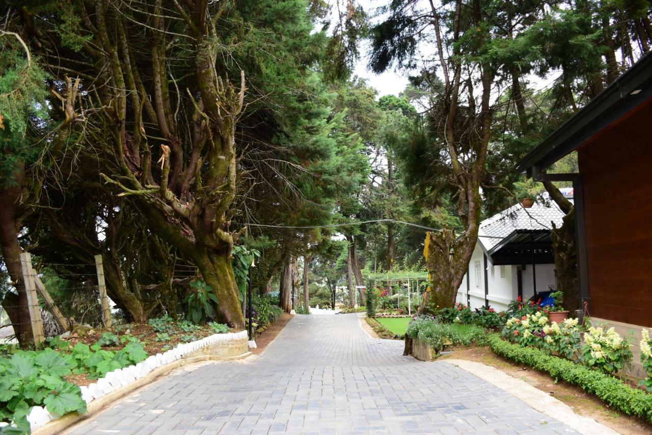 Mirage Kings Cottage Nuwara Eliya Eksteriør billede